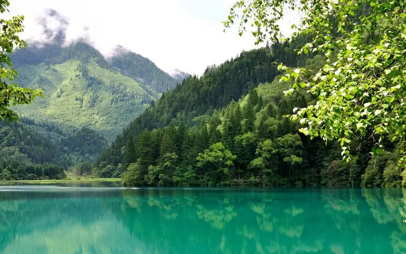 高性能高端